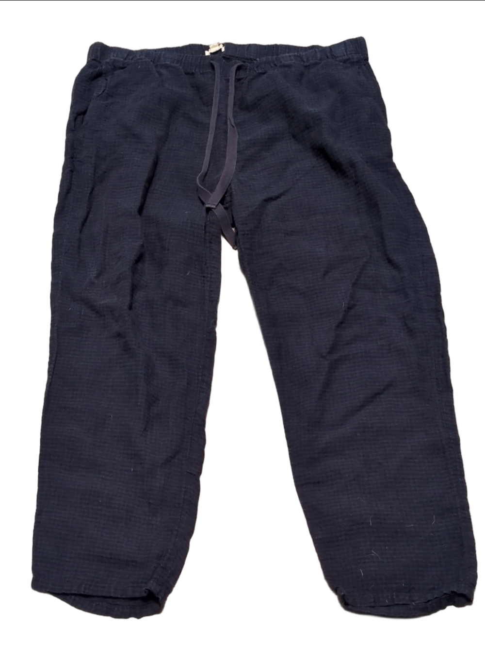 Eileen Fisher Blue Checkered Linen Pants Size PL